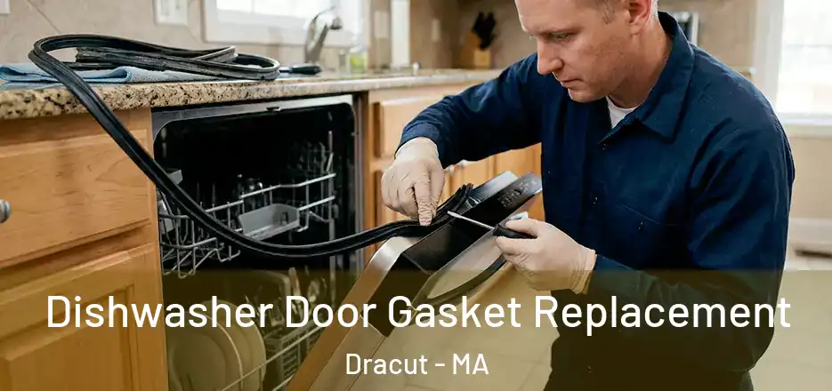 Dishwasher Door Gasket Replacement Dracut - MA
