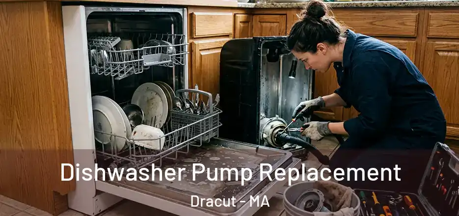 Dishwasher Pump Replacement Dracut - MA