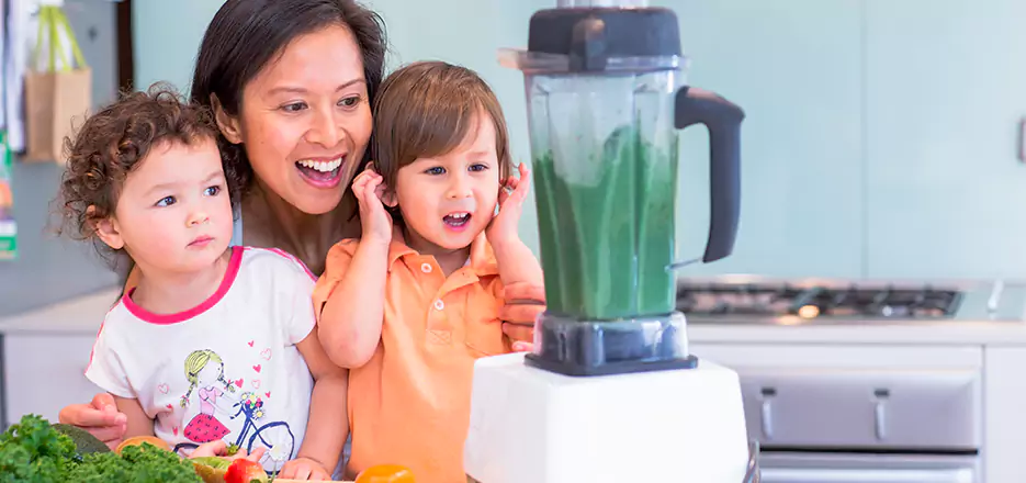 Juicer and Mixer Blender Repair in Dracut 
