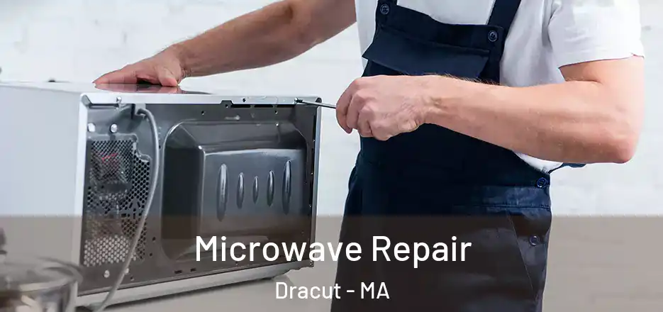 Microwave Repair Dracut - MA