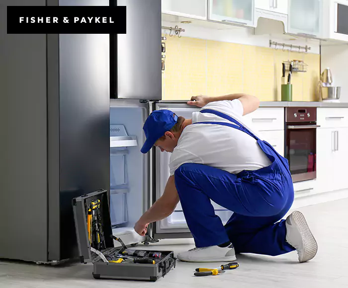 Top-Rated Fisher & Paykel Appliance Experts: Your Brand Specialist in Dracut, MA